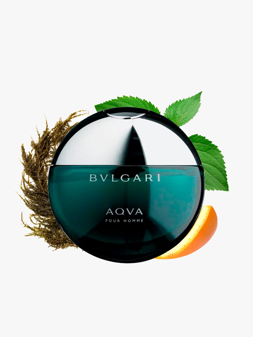 Perfume Bvlgari Aqva 100ml 